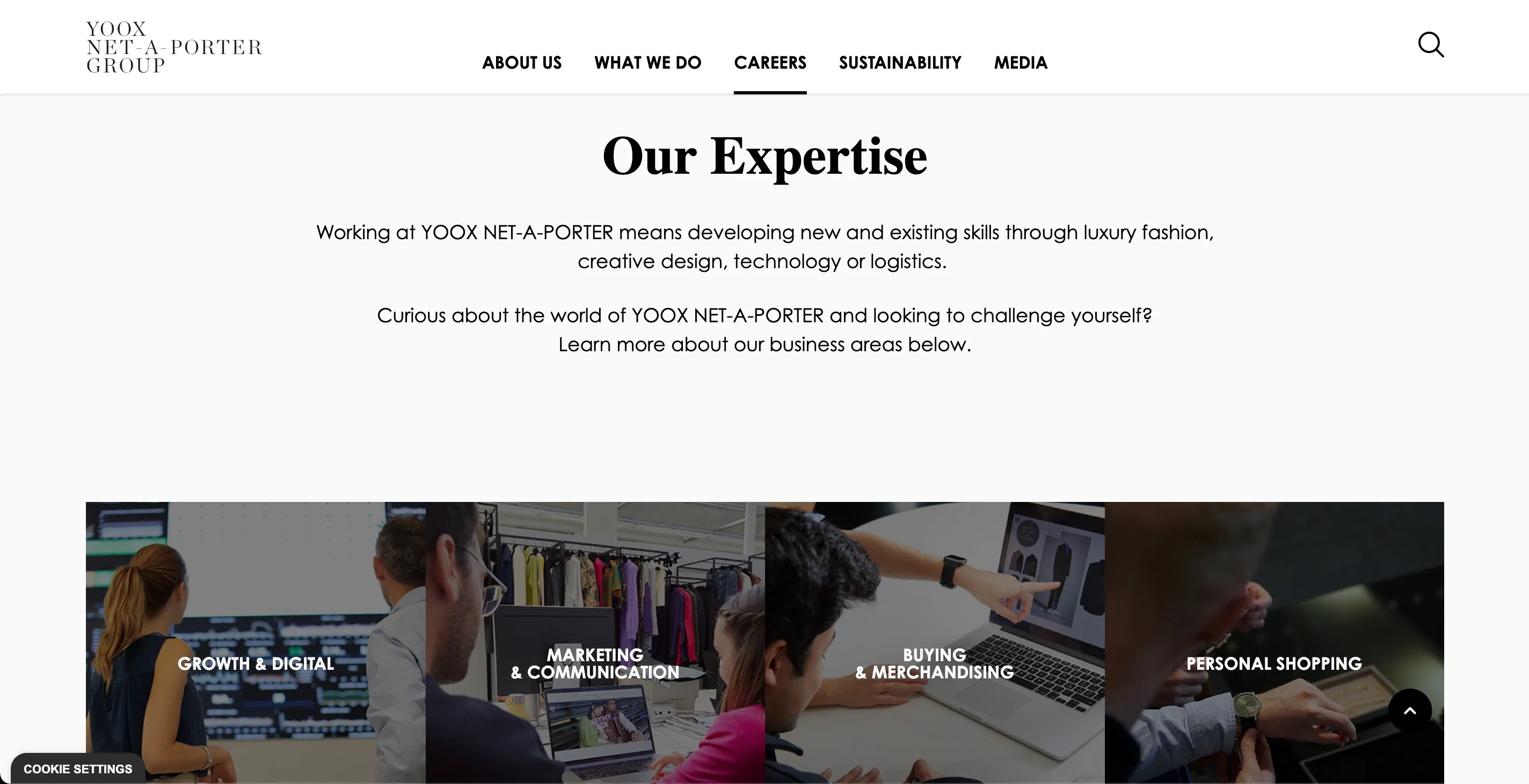 A screenshot of Interface Developer